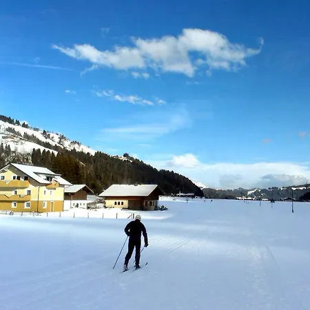Holzhacker Lägenhet Wagrain