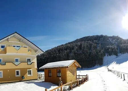 Holzhacker Wagrain